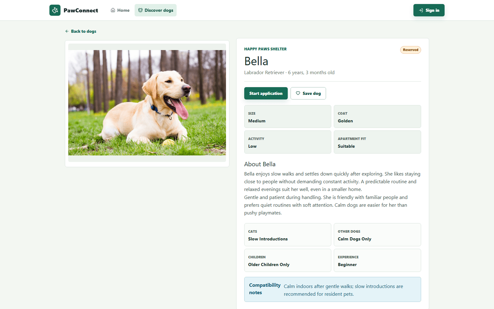 PawConnect React profile for Bella showing a large Labrador photograph, Reserved status, shelter, size, coat, activity level, apartment suitability, behavior description, compatibility notes, Start Application, and Save Dog actions.