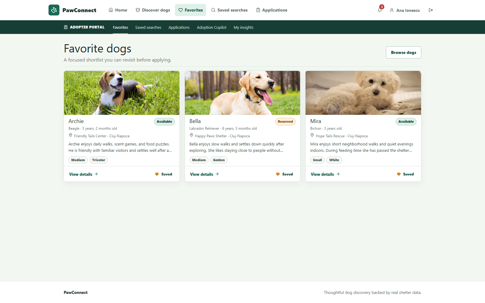 PawConnect React favorites page showing complete cards for Archie, Bella, and Mira with photographs, shelters, adoption statuses, profile details, and Saved indicators.